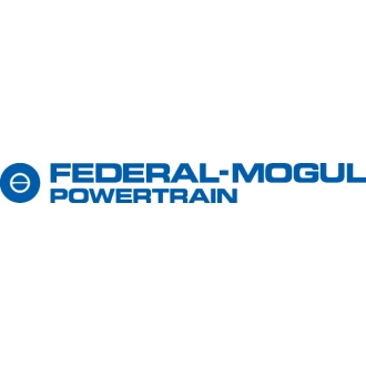 Federal Mogul Powertrain Otomotiv A.Ş.